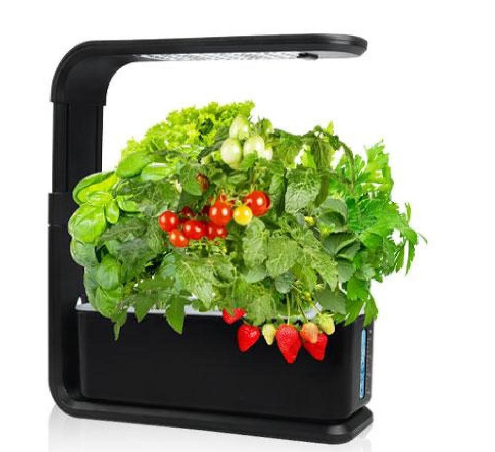 HOMLENDA 3-pod compact hydroponic garden