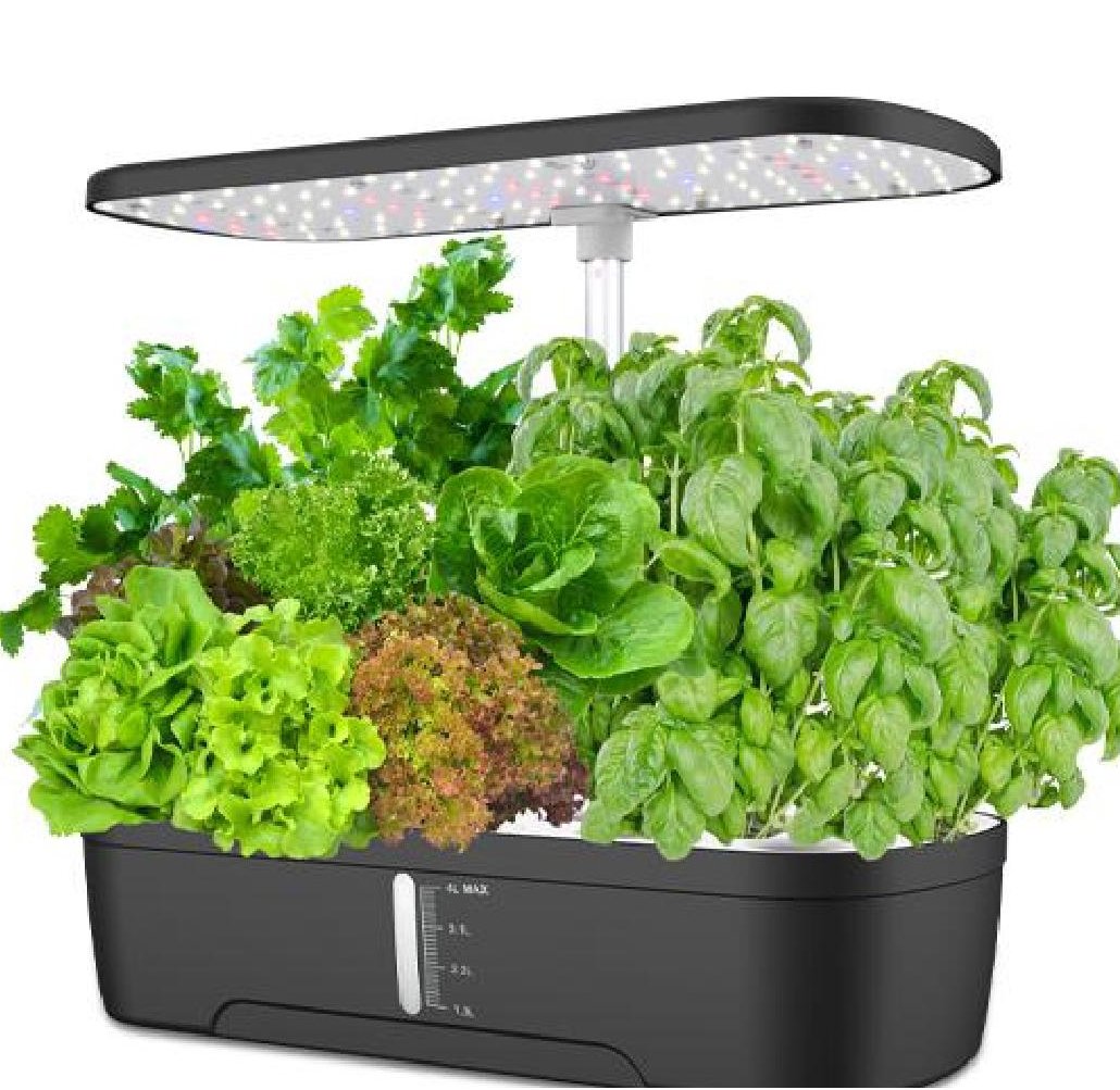 12-pod hydroponic garden with clock display